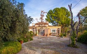 Villa Cigarral Valdecolomba